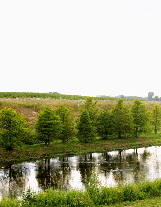 Landschaft im Fluss / Landscape in the River
